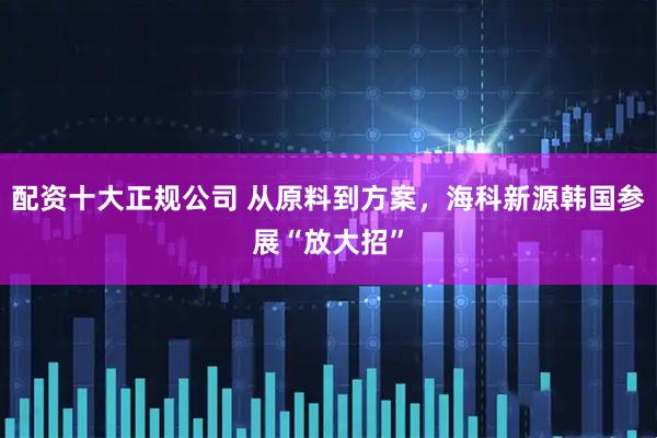 配资十大正规公司 从原料到方案，海科新源韩国参展“放大招”