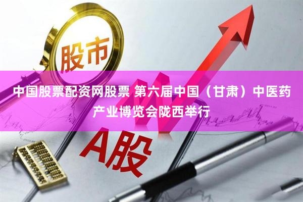 中国股票配资网股票 第六届中国（甘肃）中医药产业博览会陇西举行